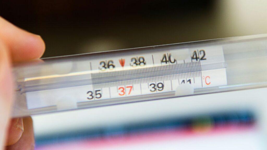 Gas Burner Temperatures