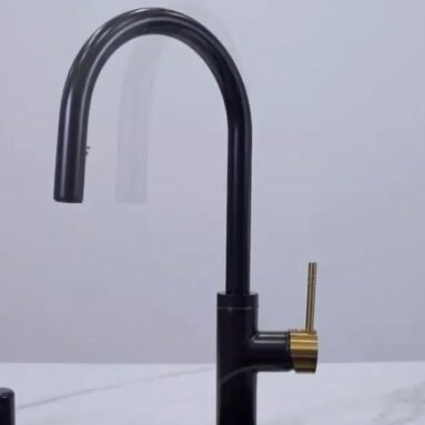 Black Kitchen Sink with Gold Faucet | A Timeless and Classic Design