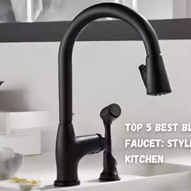 Top 5 Best black kitchen faucet: Style to Your Kitchen